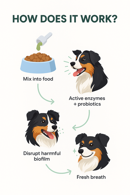 WagKind™ Daily Dental Powder